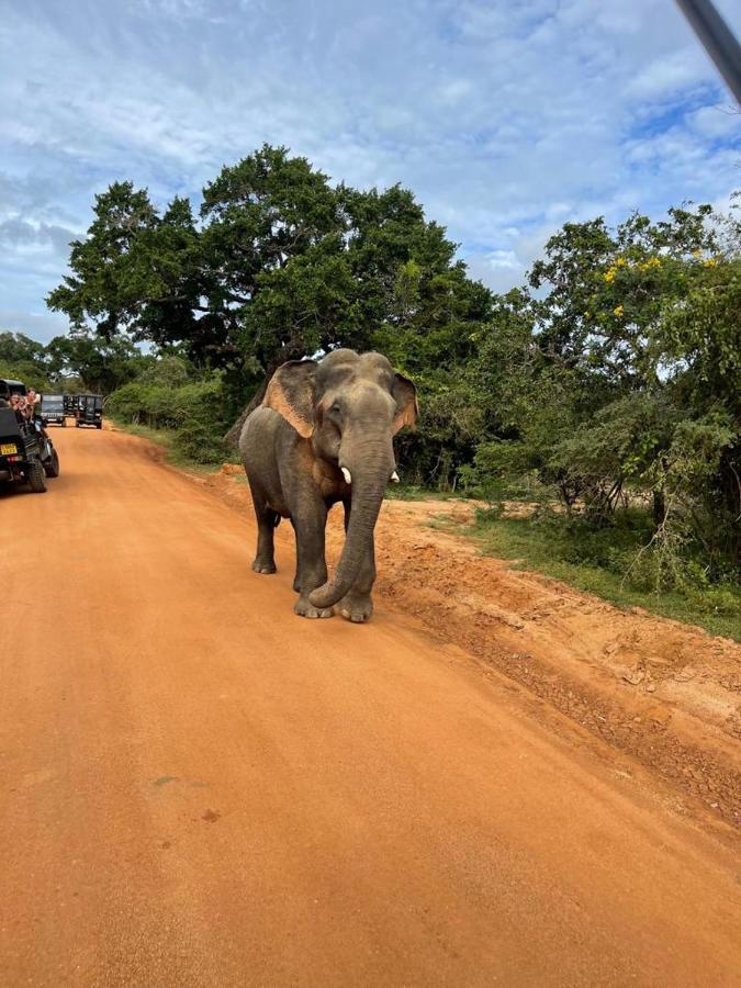Tissa Rainbow Guest & Yala Hotell Tissamaharama Eksteriør bilde